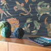 Constellations Wallpaper Wallpaper York Designer Series   