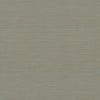 Cannete Wallpaper Wallpaper York Designer Series Yard Green 