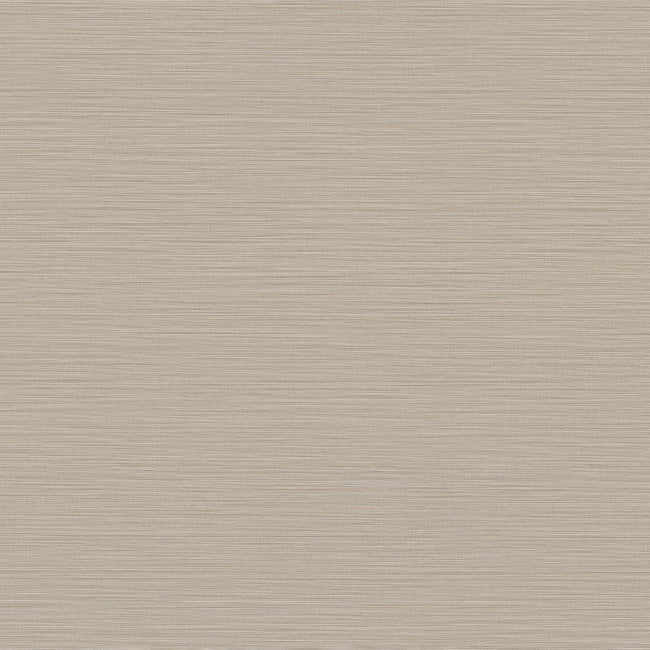 Cannete Wallpaper Wallpaper York Designer Series Yard Grey 