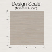 Cannete Wallpaper Wallpaper York Designer Series   