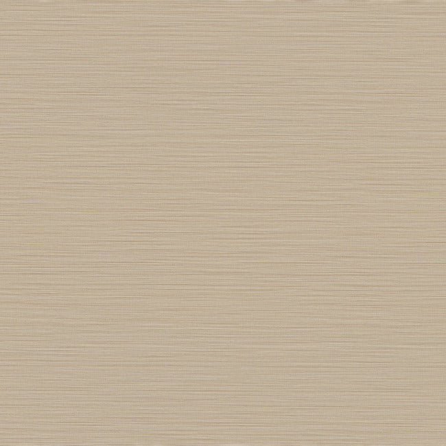 Cannete Wallpaper Wallpaper York Designer Series Yard Beige 