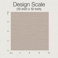Cannete Wallpaper Wallpaper York Designer Series   