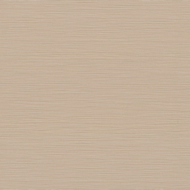 Cannete Wallpaper Wallpaper York Designer Series Yard Blush 