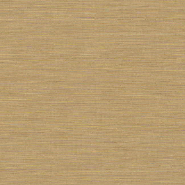 Cannete Wallpaper Wallpaper York Designer Series Yard Gold 