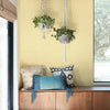 Stacked Scallops Wallpaper Wallpaper Magnolia Home   
