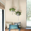 Stacked Scallops Wallpaper Wallpaper Magnolia Home   