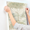 Orchard Wallpaper Wallpaper York   