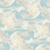 Cloud Over Wall Mural Wall Mural York Each Sky Blue 