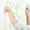 Alpine Botanical Wallpaper Wallpaper York   