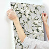 Acanthus Toss Wallpaper Wallpaper York   