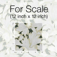 Acanthus Toss Wallpaper Wallpaper York   