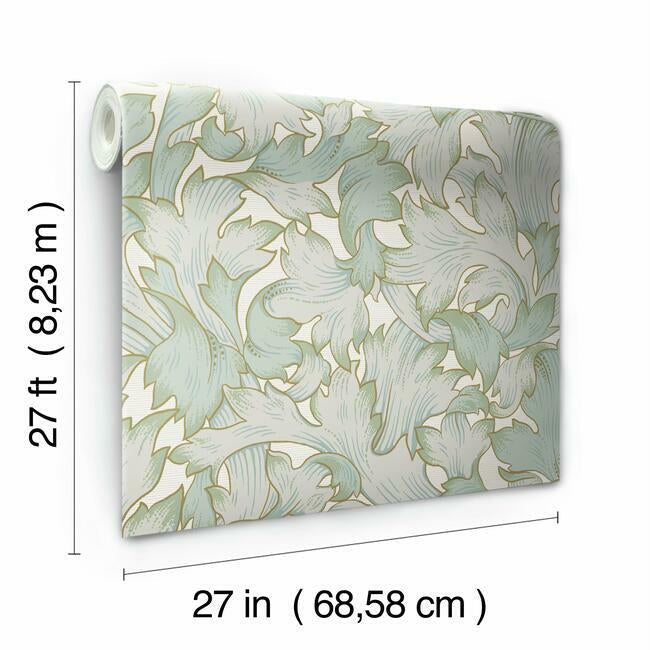 Acanthus Toss Wallpaper Wallpaper York   
