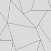 Nazca Wallpaper Wallpaper Antonina Vella Double Roll White/Silver 
