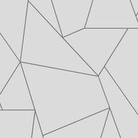 Nazca Wallpaper Wallpaper Antonina Vella Double Roll White/Silver 
