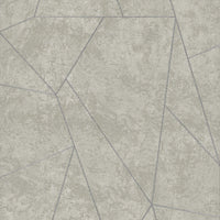 Nazca Wallpaper Wallpaper Antonina Vella Double Roll Grey/Silver 