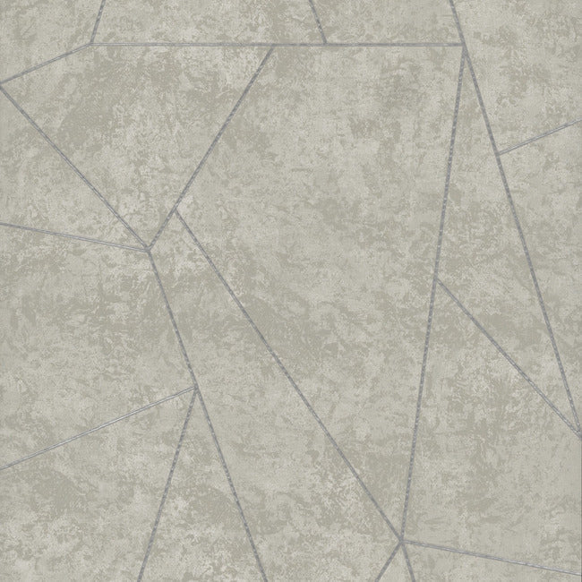 Nazca Wallpaper Wallpaper Antonina Vella Double Roll Grey/Silver 