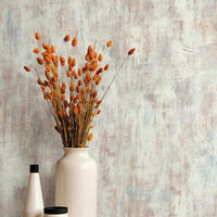 Concrete Patina Wallpaper Wallpaper Antonina Vella   