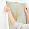 Papyrus Plume Wallpaper Wallpaper York Wallcoverings   