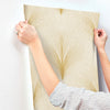 Papyrus Plume Wallpaper Wallpaper York Wallcoverings   