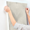 Papyrus Plume Wallpaper Wallpaper York Wallcoverings   