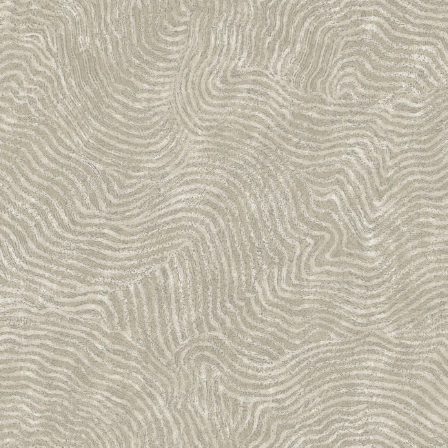 Modern Wood Wallpaper Wallpaper York Wallcoverings Double Roll Taupe 