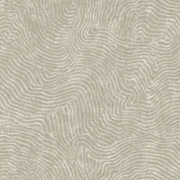 Modern Wood Wallpaper Wallpaper York Wallcoverings Double Roll Taupe 
