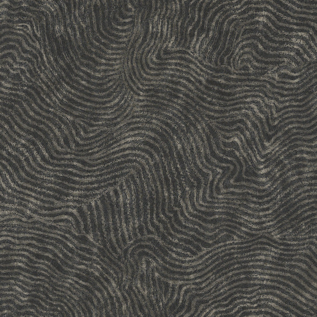 Modern Wood Wallpaper Wallpaper York Wallcoverings Double Roll Black 