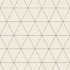 Ridge Wallpaper Wallpaper Magnolia Home Double Roll White & Black 