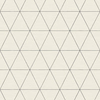 Ridge Wallpaper Wallpaper Magnolia Home Double Roll White & Black 
