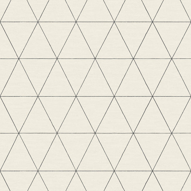 Ridge Wallpaper Wallpaper Magnolia Home Double Roll White & Black 