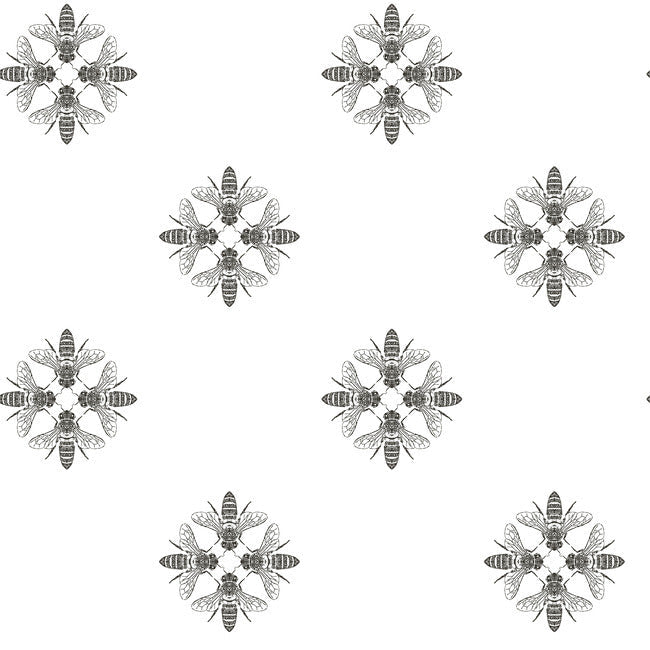 Honey Bee Wallpaper Wallpaper York Double Roll Black/White 