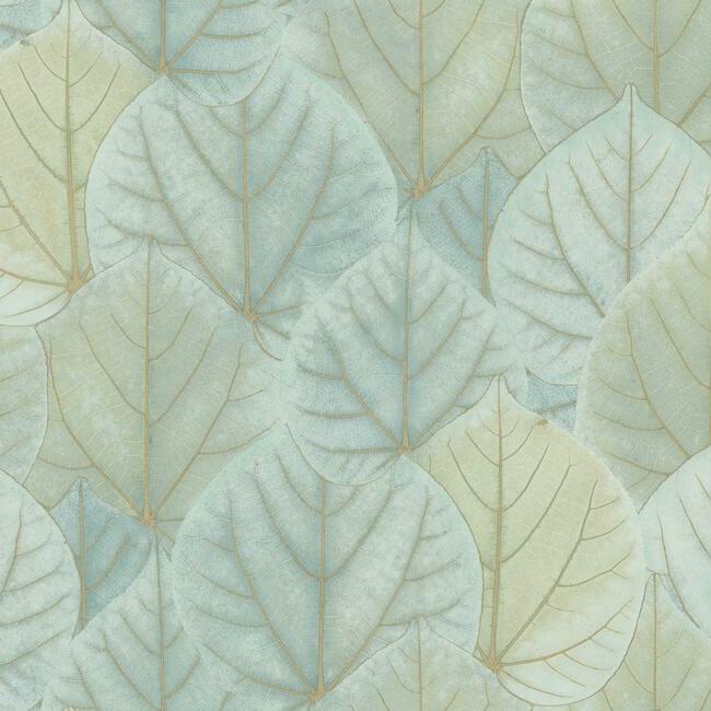 Leaf Concerto Wallpaper Wallpaper Candice Olson Double Roll Turquoise 