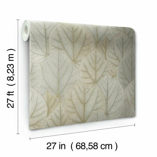 【高い素材】 Leaf Concerto Wallpaper – York Wallcoverings アート・デザイン・音楽