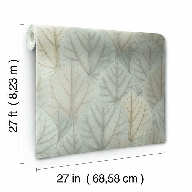 Leaf Concerto Wallpaper Wallpaper Candice Olson   