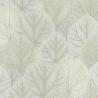 Leaf Concerto Wallpaper Wallpaper Candice Olson Double Roll Pale Grey 