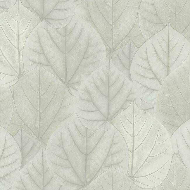 Leaf Concerto Wallpaper Wallpaper Candice Olson Double Roll Pale Grey 