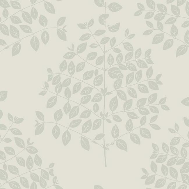 Tender Wallpaper Wallpaper Candice Olson Double Roll Cream/Silver 
