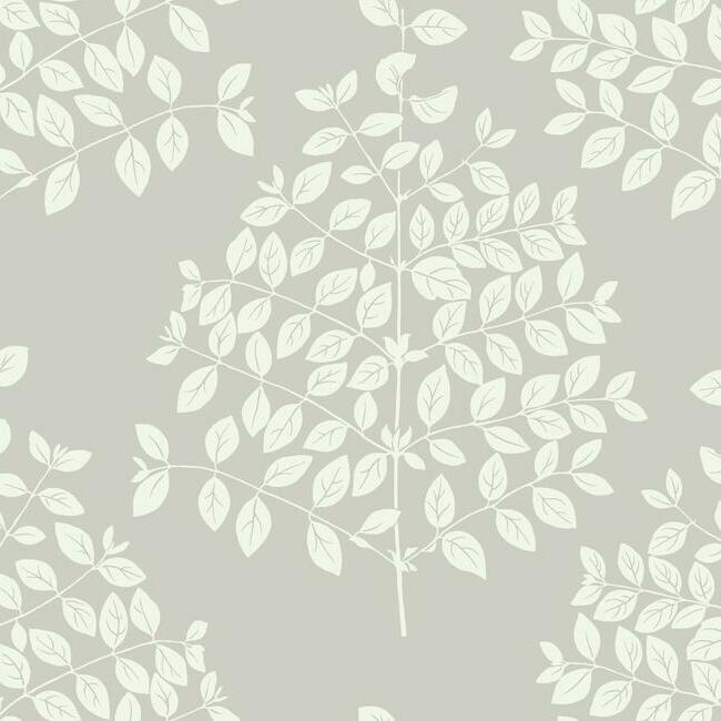 Tender Wallpaper Wallpaper Candice Olson Double Roll Pearl Grey 