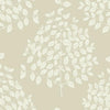 Tender Wallpaper Wallpaper Candice Olson Double Roll Pearl Taupe 