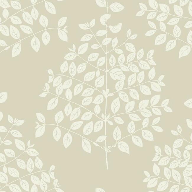 Tender Wallpaper Wallpaper Candice Olson Double Roll Pearl Taupe 