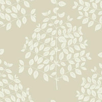 Tender Wallpaper Wallpaper Candice Olson Double Roll Pearl Taupe 