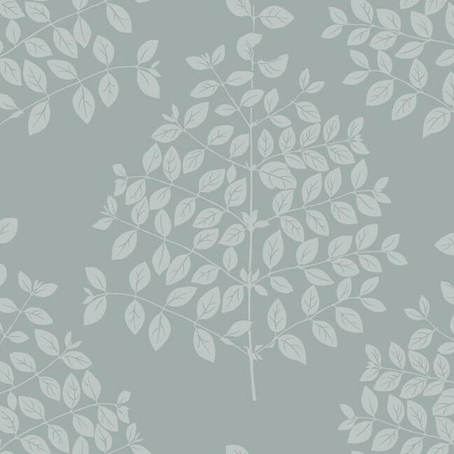 Tender Wallpaper Wallpaper Candice Olson Double Roll Mist 