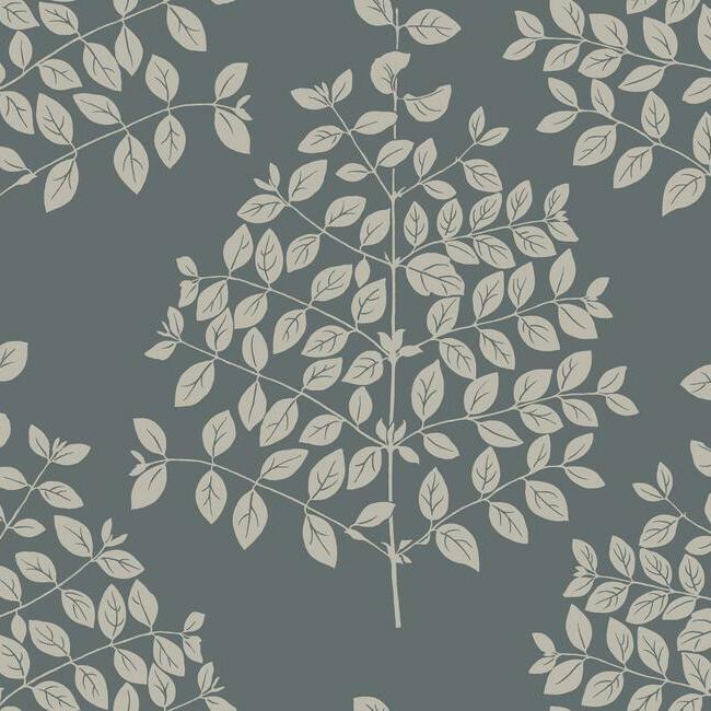 Tender Wallpaper Wallpaper Candice Olson Double Roll Charcoal 