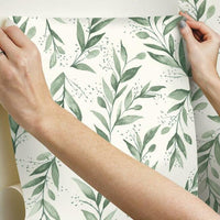 Olive Branch Premium Peel + Stick Wallpaper Peel and Stick Wallpaper Magnolia Home   