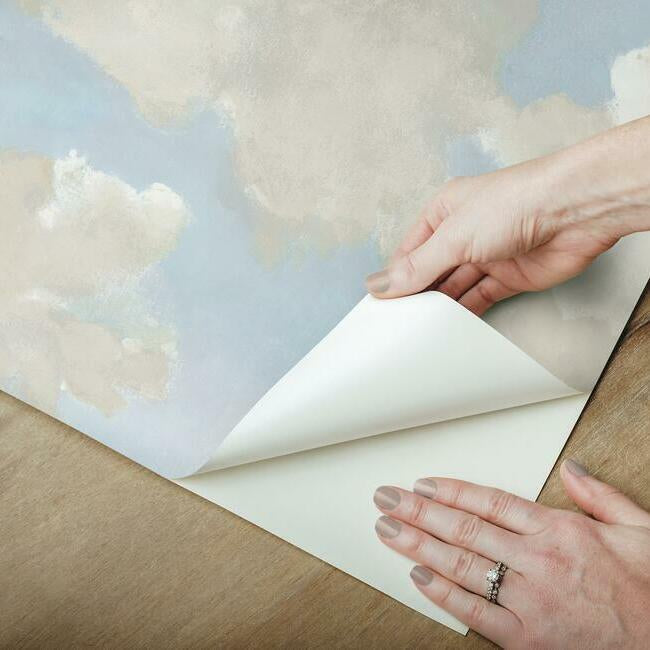 Clouds on Canvas Premium Peel + Stick Wallpaper Peel and Stick Wallpaper York   