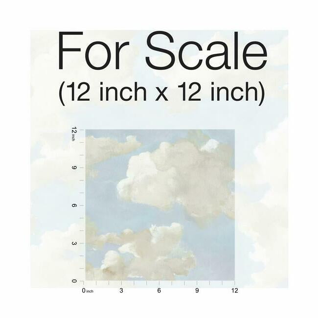 Clouds on Canvas Premium Peel + Stick Wallpaper Peel and Stick Wallpaper York   