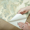 Inner Beauty Premium Peel + Stick Wallpaper Peel and Stick Wallpaper Candice Olson   