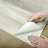 Soothing Mists Scenic Premium Peel and Stick Wallpaper Peel and Stick Wallpaper Candice Olson   