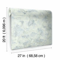 Coastal Map Premium Peel + Stick Wallpaper Peel and Stick Wallpaper York   
