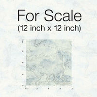 Coastal Map Premium Peel + Stick Wallpaper Peel and Stick Wallpaper York   